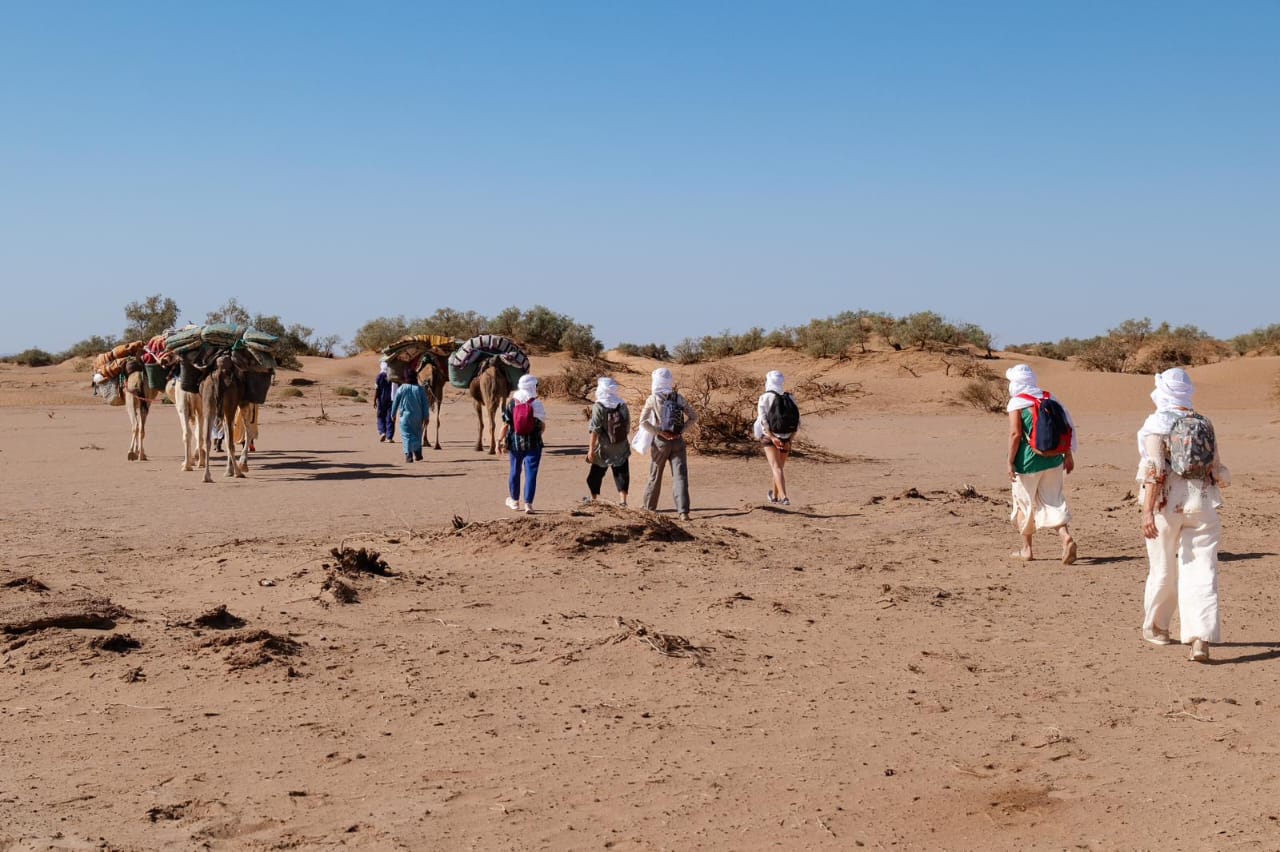 Camel Trekking